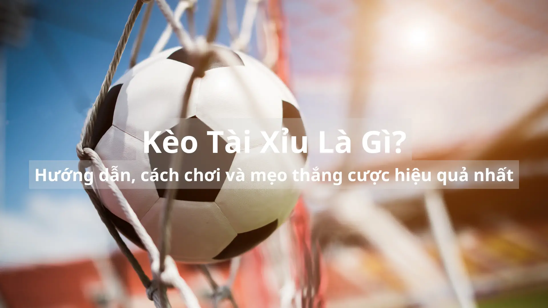 Kèo Tài Xỉu Là Gì? Hướng dẫn, cách chơi và mẹo thắng cược hiệu quả nhất