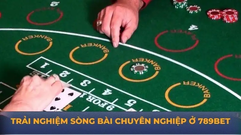 789Bet – Nhà cái uy tín với dịch vụ giải trí đỉnh cao