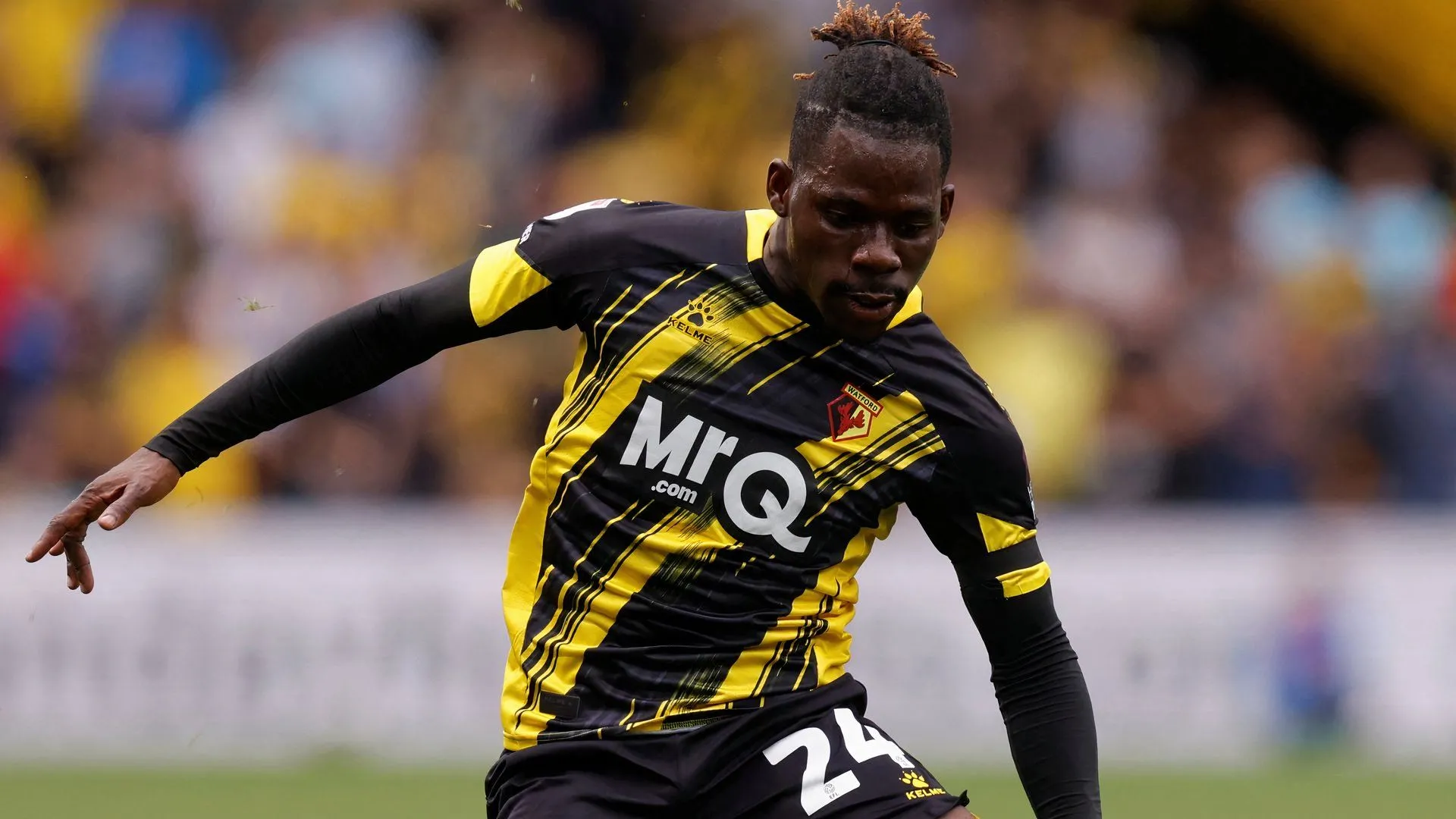 Đội hình Watford thi đấu tại giải hạng Nhất Anh
