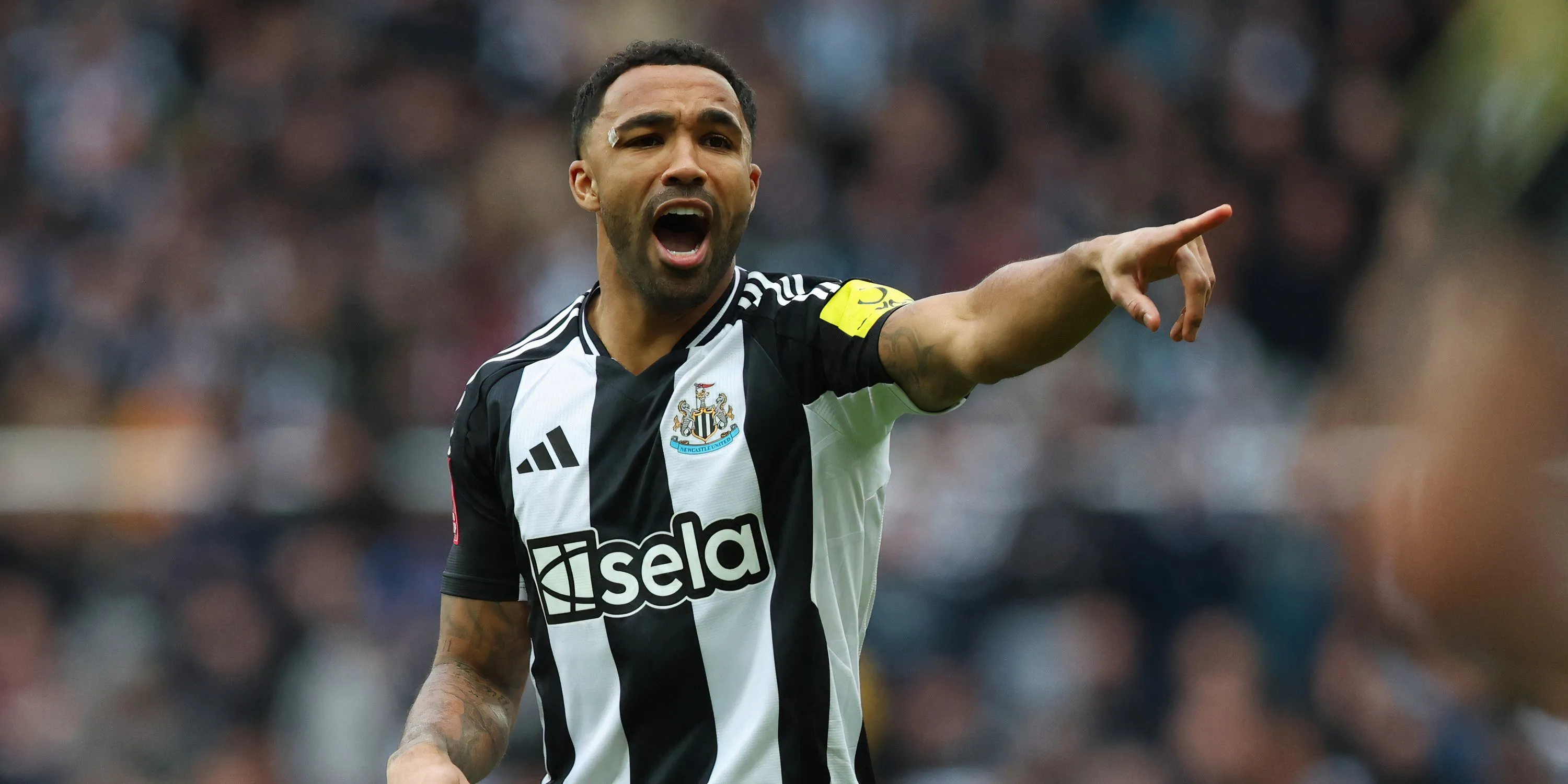 Newcastle Chốt Tiền Đạo Mới Từ Premier League? Mục Tiêu Rodrigo Muniz