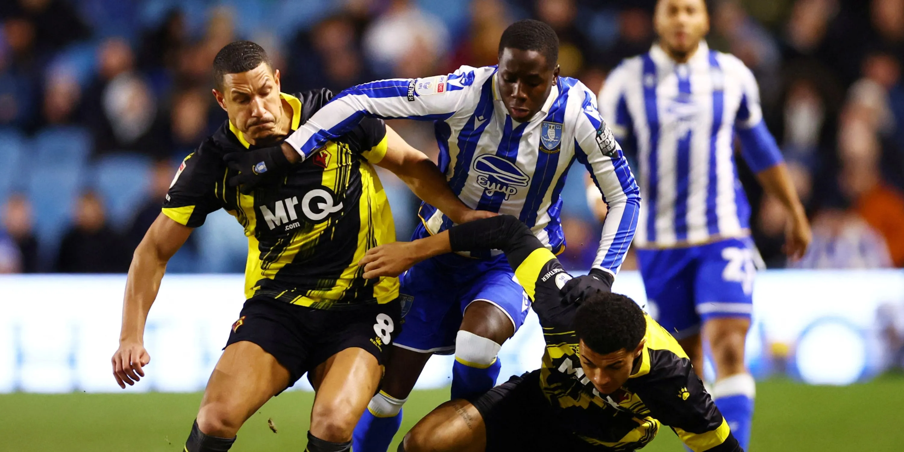 Djeidi Gassama trong màu áo Sheffield Wednesday tại Championship, nơi anh thể hiện tiềm năng ghi bàn ấn tượng