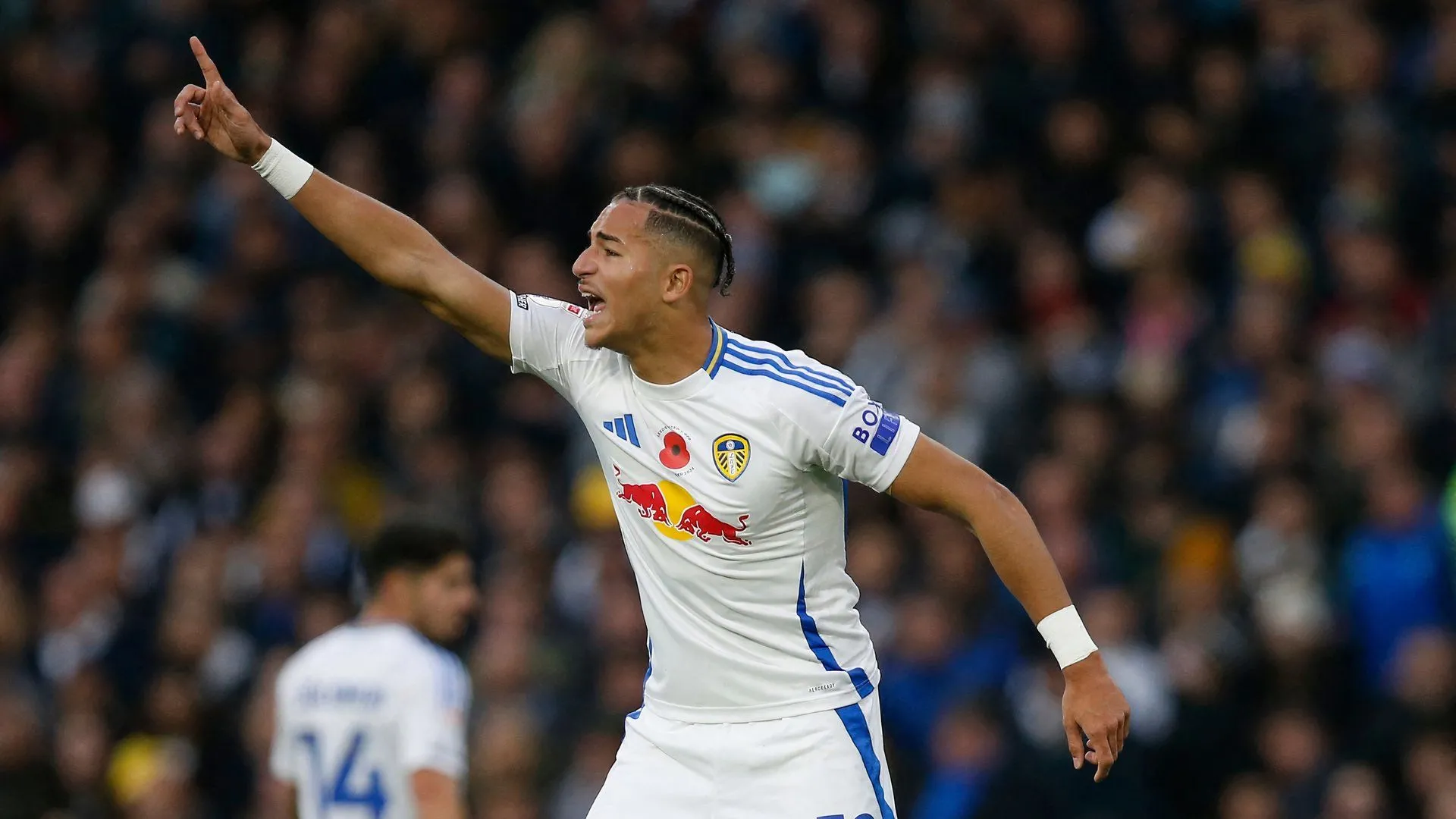 Mateo Joseph của Leeds United đối đầu QPR