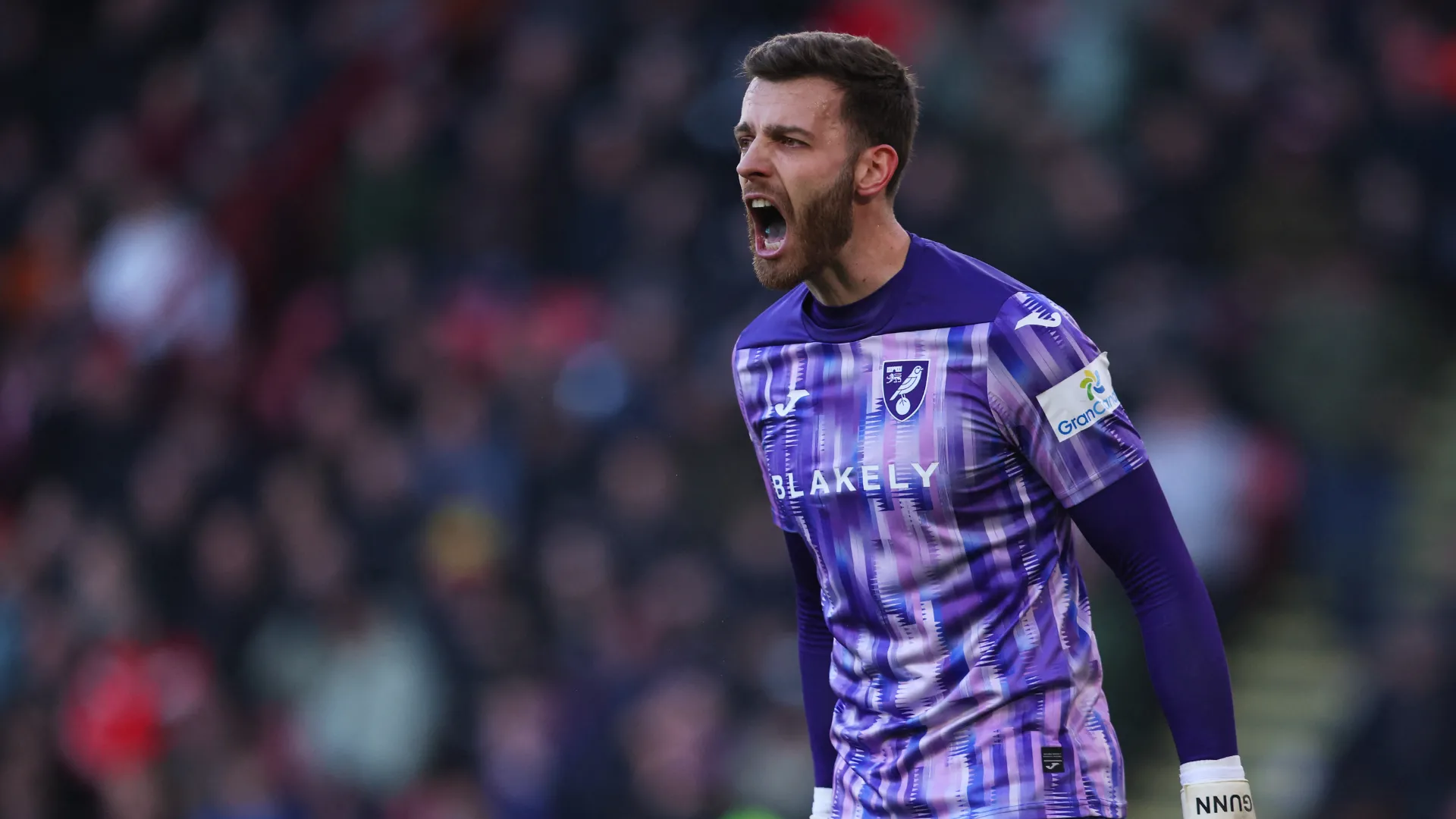 Thủ môn Angus Gunn trong màu áo Norwich City